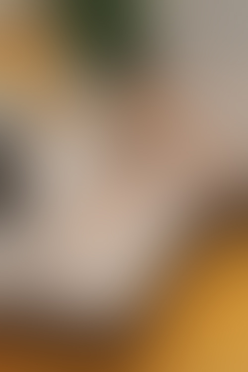 an image of Daisy Rock